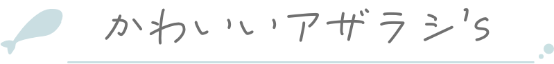 アザラシの種類