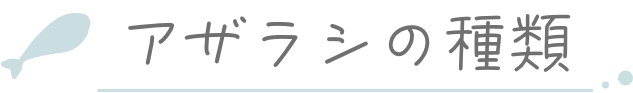アザラシの種類